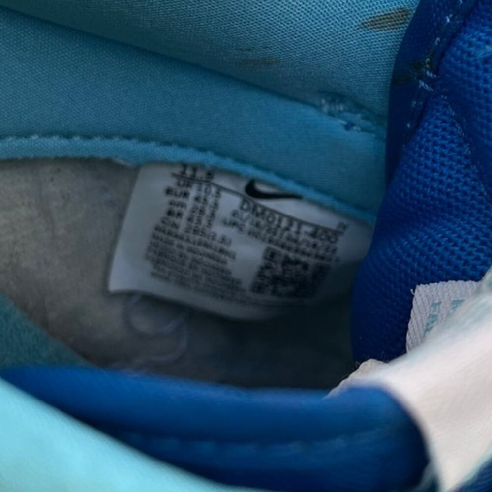 Mens Nike Dunk Low Retro QS DM0121-400 Leather Athletic Sneaker SZ 11.5 Blue - Picture 5 of 6